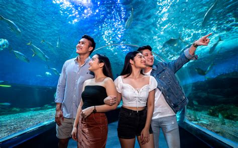 manila ocean park manila|Manila Ocean Park .
